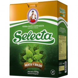 YERBA MATE C/MENTA-BOLDO...