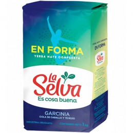 YERBA MATE EN FORMA LA...