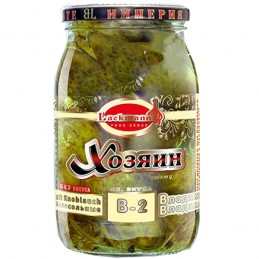 PEPINOS C/AJO P.SAL JOZ.B2...